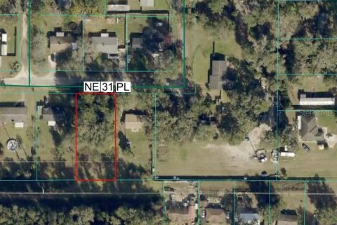 Terrain à vendre à Ocala, Floride № 2259052 - photo 4