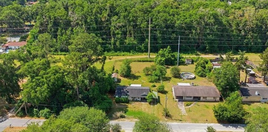 Terrain à Ocala, Floride № 2259052