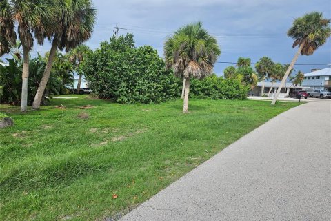 Land in Englewood, Florida № 1818016 - photo 7