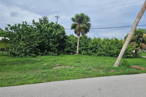 Land in Englewood, Florida № 1818016 - photo 9
