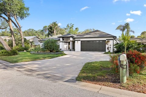 Villa ou maison à vendre à Brandon, Floride: 4 chambres, 245.63 m2 № 1718530 - photo 1