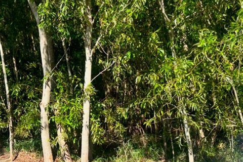 Terreno en venta en Saint Lucie, Florida № 1793961 - foto 1