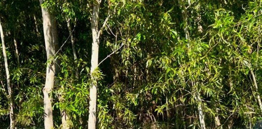 Terreno en Saint Lucie, Florida № 1793961