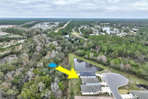 House in Palm Coast, Florida 2 bedrooms, 152.82 sq.m. № 1533921 - photo 13