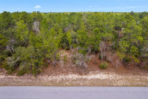 Land in Citrus Springs, Florida № 1718950 - photo 3