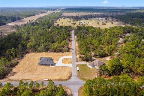 Land in Citrus Springs, Florida № 1718950 - photo 2