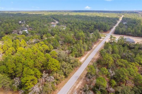 Land in Citrus Springs, Florida № 1718950 - photo 9