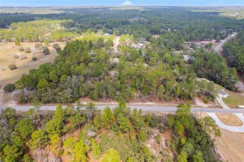 Land in Citrus Springs, Florida № 1718950 - photo 1
