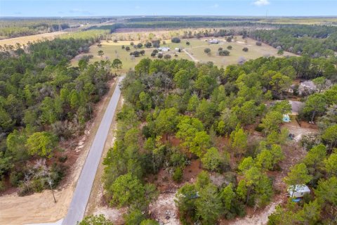 Land in Citrus Springs, Florida № 1718950 - photo 6