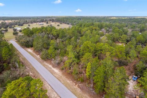 Land in Citrus Springs, Florida № 1718950 - photo 5