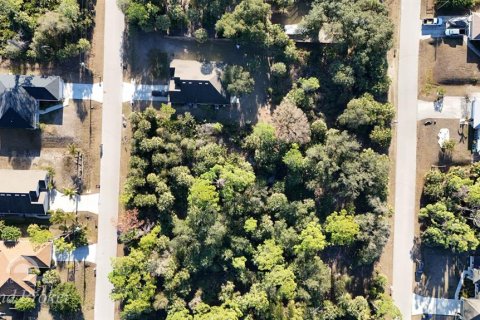 Land in North Port, Florida № 2163354 - photo 2