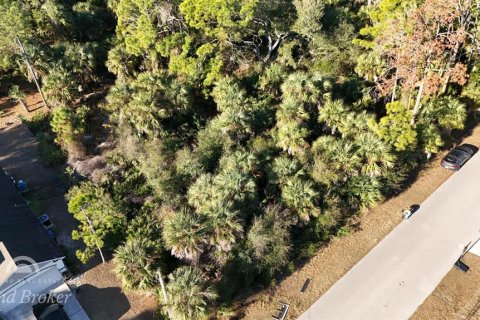 Land in North Port, Florida № 2163354 - photo 12