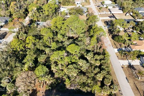 Land in North Port, Florida № 2163354 - photo 14