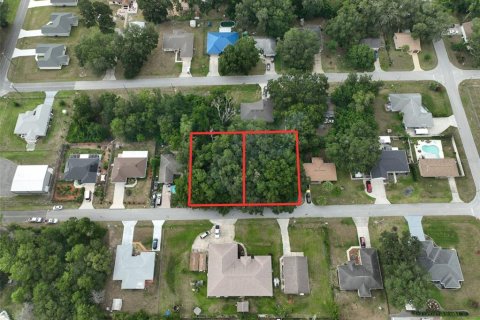 Terreno en Summerfield, Florida № 2123631