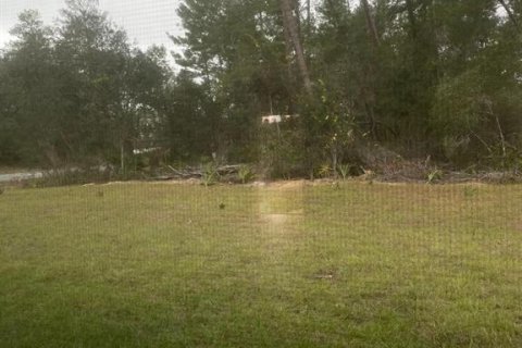 Villa ou maison à vendre à Ocala, Floride: 4 chambres, 169.73 m2 № 2214916 - photo 5