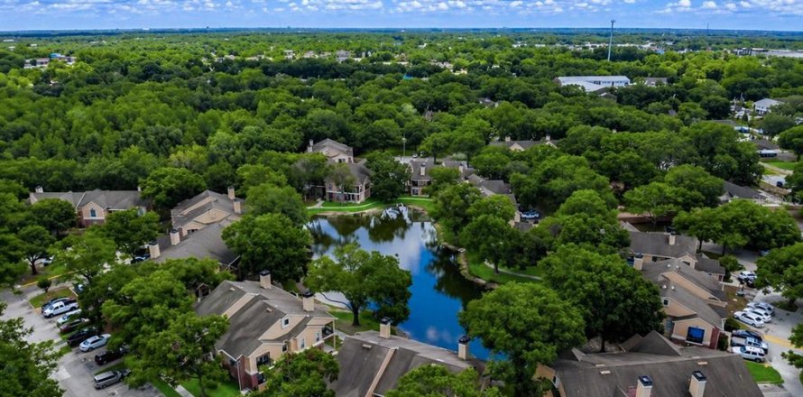 Condo à Tampa, Floride, 2 chambres  № 2115438