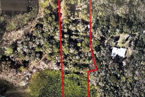 Land in Weirsdale, Florida № 1754792 - photo 1