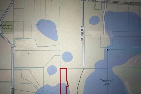 Land in Weirsdale, Florida № 1754792 - photo 3