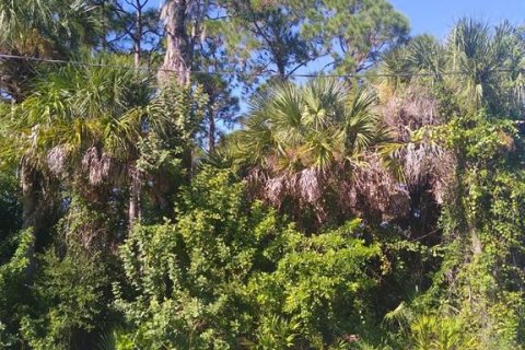 Land in Port Charlotte, Florida № 2161988