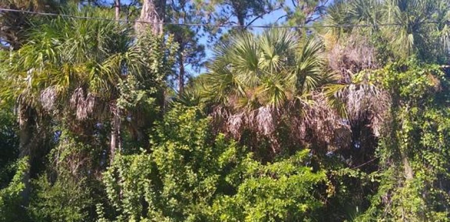 Terrain à Port Charlotte, Floride № 2161988
