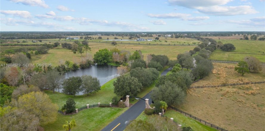 Terrain à Okeechobee, Floride № 2001094