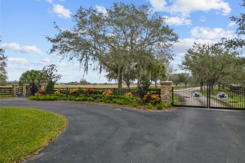 Terrain à vendre à Okeechobee, Floride № 2001094 - photo 20