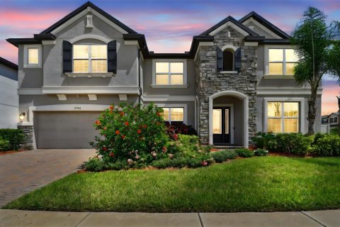 House in Tampa, Florida 7 bedrooms, 512.63 sq.m. № 1791589 - photo 1