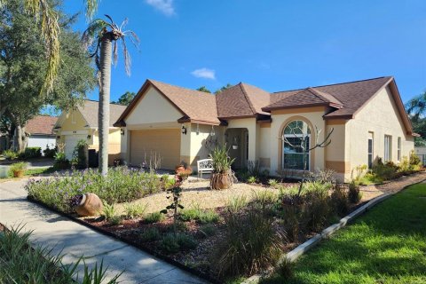 Villa ou maison à Valrico, Floride 3 chambres, 144.74 m2 № 2358857