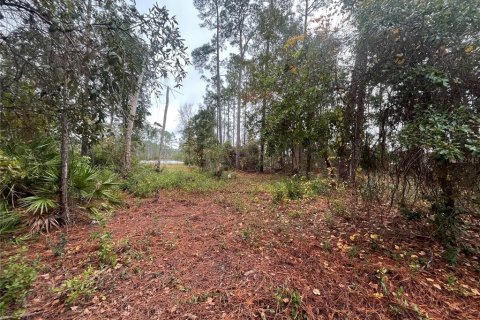 Land in Interlachen, Florida № 2162400 - photo 5