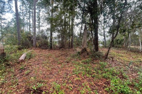 Land in Interlachen, Florida № 2162400 - photo 6