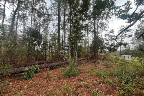 Land in Interlachen, Florida № 2162400 - photo 7