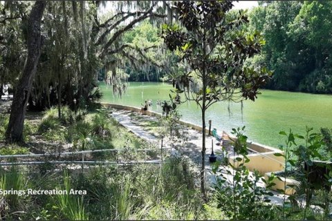 Land in Interlachen, Florida № 2162400 - photo 16