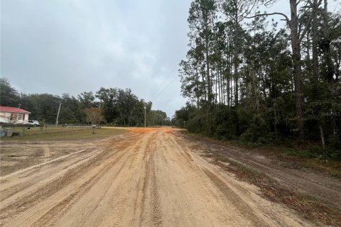 Land in Interlachen, Florida № 2162400 - photo 2