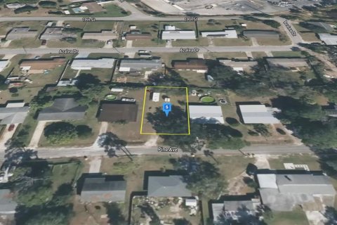 Land in Edgewater, Florida № 2167765 - photo 3