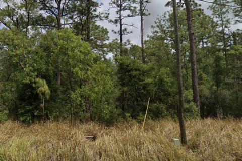 Land in Ocala, Florida № 2161921 - photo 2