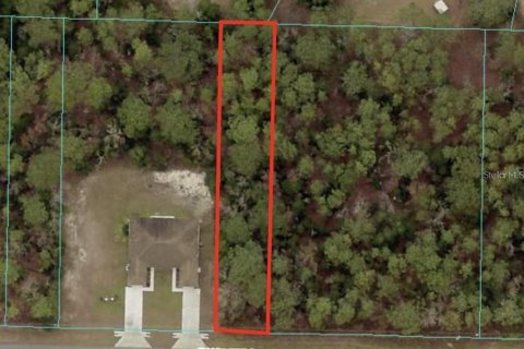 Land in Ocala, Florida № 2161921