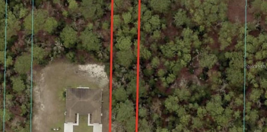 Land in Ocala, Florida № 2161921