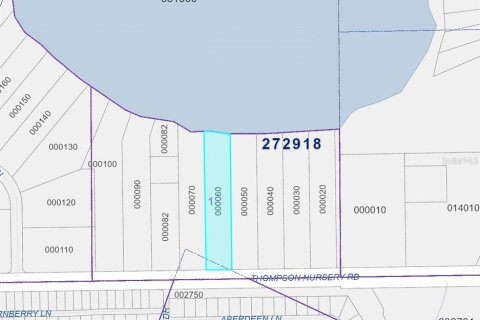 Terreno en venta en Winter Haven, Florida № 1592568 - foto 7