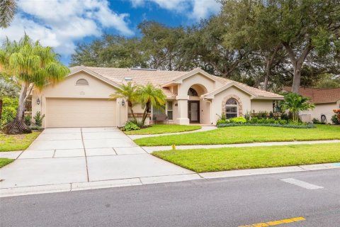 Villa ou maison à vendre à Palm Harbor, Floride: 4 chambres, 292.46 m2 № 2410049 - photo 2