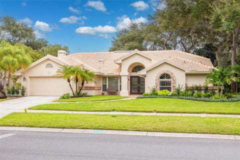 Villa ou maison à Palm Harbor, Floride 4 chambres, 292.46 m2 № 2410049