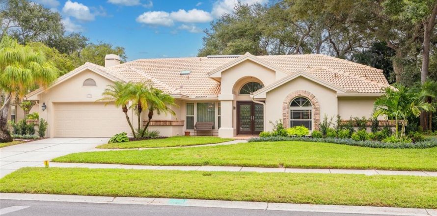 Villa ou maison à Palm Harbor, Floride 4 chambres, 292.46 m2 № 2410049