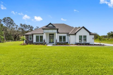 Villa ou maison à Hudson, Floride 4 chambres, 373.75 m2 № 2350067