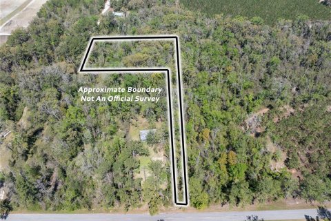 Land in Live Oak, Florida № 2232760