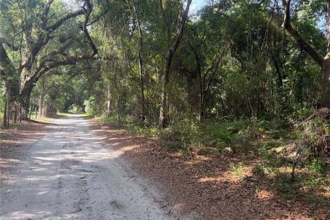 Terrain à Webster, Floride № 2207538