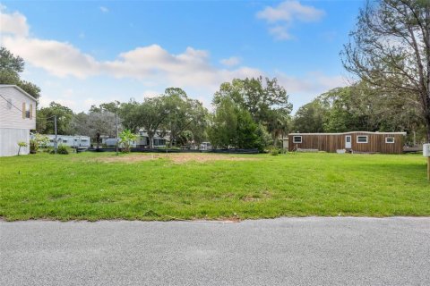 Land in Weeki Wachee, Florida № 1869203 - photo 14
