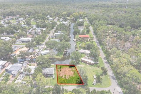 Land in Weeki Wachee, Florida № 1869203 - photo 19