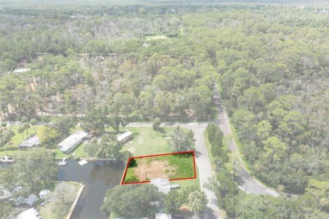 Land in Weeki Wachee, Florida № 1869203 - photo 5