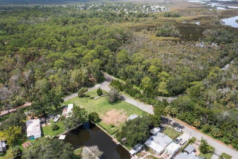 Land in Weeki Wachee, Florida № 1869203 - photo 6