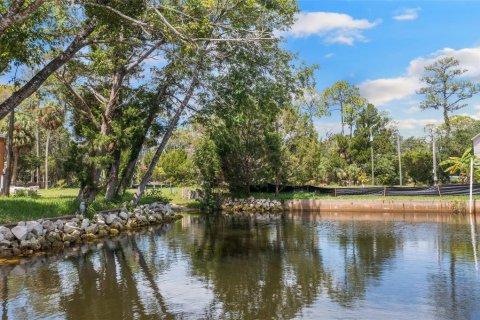 Land in Weeki Wachee, Florida № 1869203 - photo 17