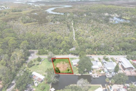 Land in Weeki Wachee, Florida № 1869203 - photo 8